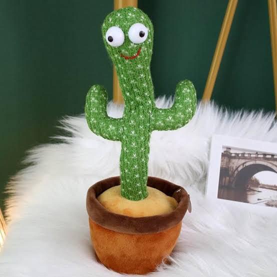 Cactus toy image