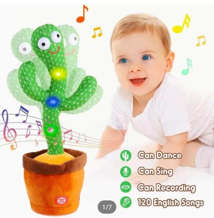 Have Fun with Cactus toy